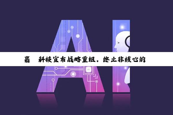 嘉楠科技宣布战略重组，终止非核心的 AI 芯片业务单元