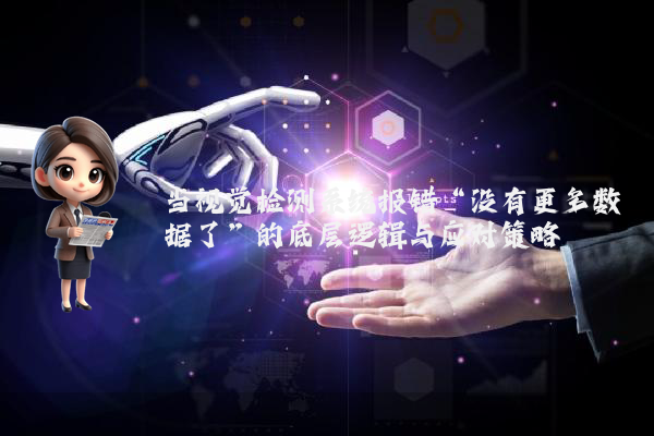 当视觉检测系统报错“没有更多数据了”的底层逻辑与应对策略