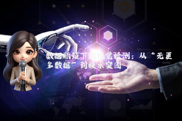 数据瓶颈下的视觉检测：从“无更多数据”到技术突围