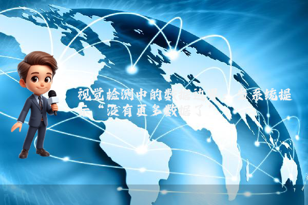 视觉检测中的数据边界：当系统提示“没有更多数据了”