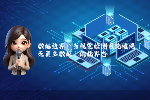 数据边界：当视觉检测系统遭遇「无更多数据」的临界态