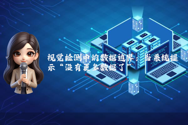 视觉检测中的数据边界：当系统提示“没有更多数据了”