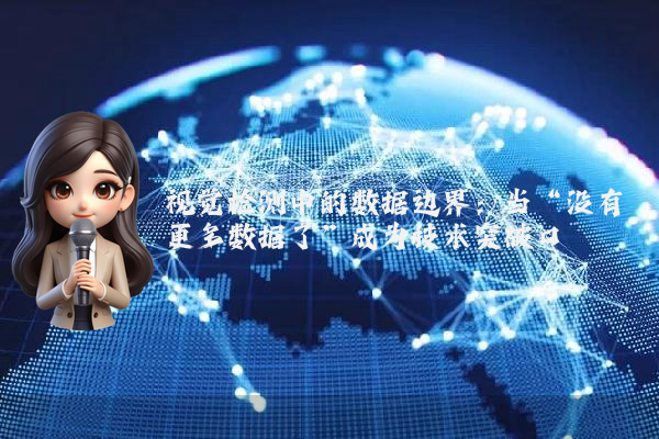 视觉检测中的数据边界：当“没有更多数据了”成为技术突破口