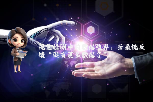 视觉检测中的数据边界：当系统反馈“没有更多数据了”