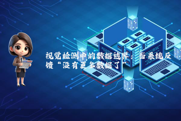 视觉检测中的数据边界：当系统反馈“没有更多数据了”